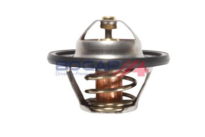 TERMOSTAT LICHID RACIRE BOGAP P4245101 5