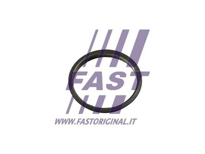 FAST FT49853 FAST FT49853