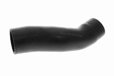 FURTUN EAR SUPRAALIMENTARE ACKOJA A529602 1