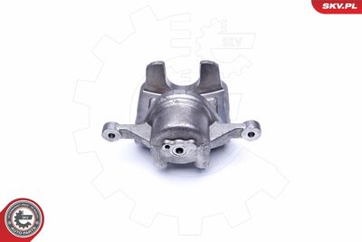 Brake Caliper 42SKV482