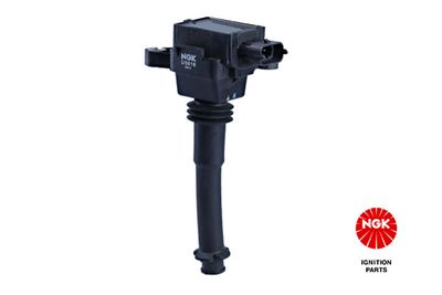 ritė, uždegimas 48046 NGK