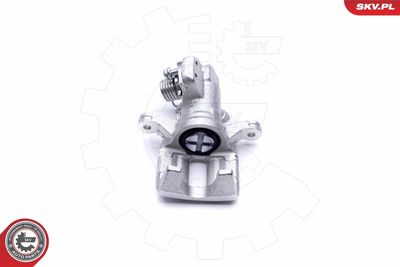 Brake Caliper 46SKV993