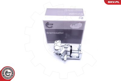 Brake Caliper 42SKV214