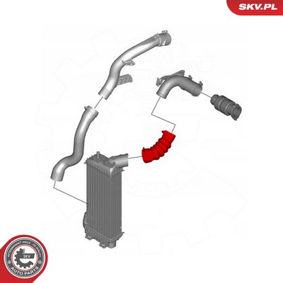 Kompresoriaus padavimo žarna