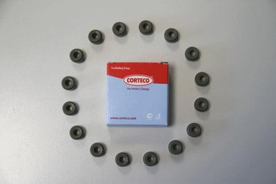 Dichtungssatz, Ventilschaft