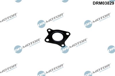 Dr.Motor Automotive Tarpiklis, EGR vožtuvo vamzdelis