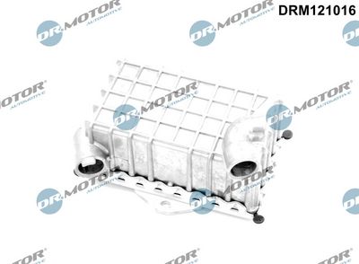 Chłodnica oleju, olej silnikowy DR.MOTOR AUTOMOTIVE DRM121016