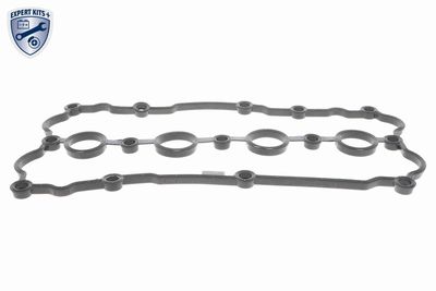 GARNITURA CAPAC SUPAPE