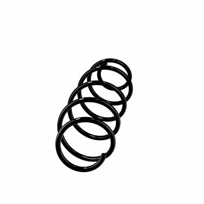 ARC SPIRAL EIBACH R10079 2