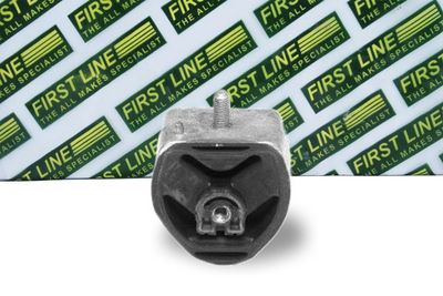 окачване, двигател FIRST LINE FEM3172