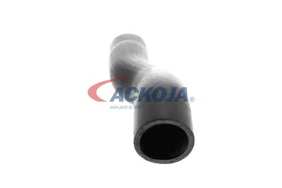 FURTUN EAR SUPRAALIMENTARE ACKOJA A529600 22