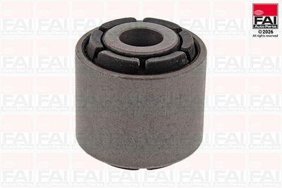 тампон, носач FAI AutoParts SS5818