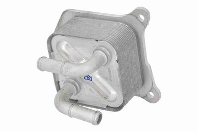 RADIATOR ULEI ULEI MOTOR ACKOJA A38600029 3