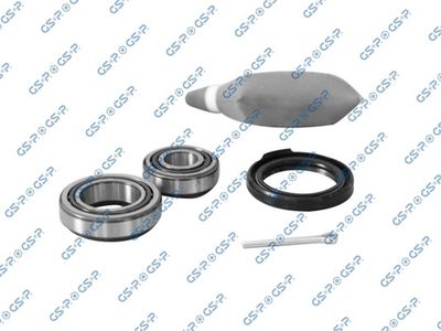 SET RULMENT ROATA GSP GK4528A