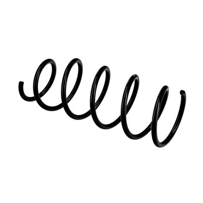 ARC SPIRAL EIBACH R10077 21