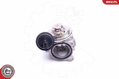 EGR Valve 14SKV206