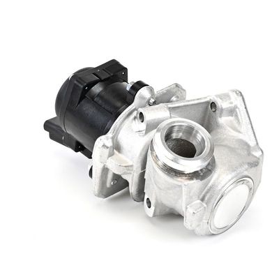 AGR-VENTIL DELPHI EG1040112B1 11