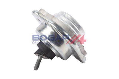 BOGAP Variklio montavimas