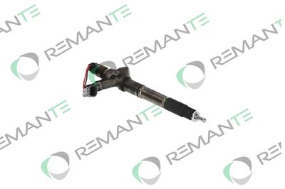 INJECTOR REMANTE 002003001324R 3