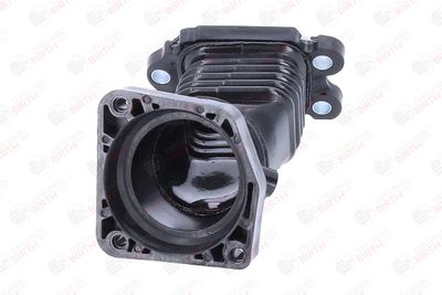 FURTUN EAR SUPRAALIMENTARE BIRTH 55678 3