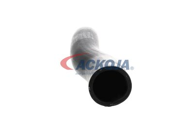 FURTUN EAR SUPRAALIMENTARE ACKOJA A529600 46