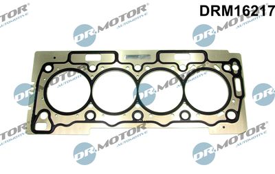 Dr.Motor Automotive Pakking, cilinderkop (DRM16217)
