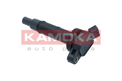 Ignition Coil 7120030