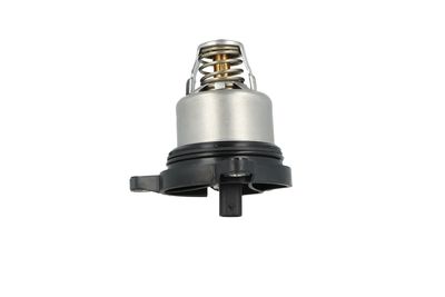 TERMOSTAT LICHID RACIRE NRF 725399 25