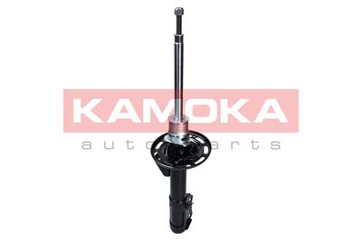 Shock Absorber 2000148