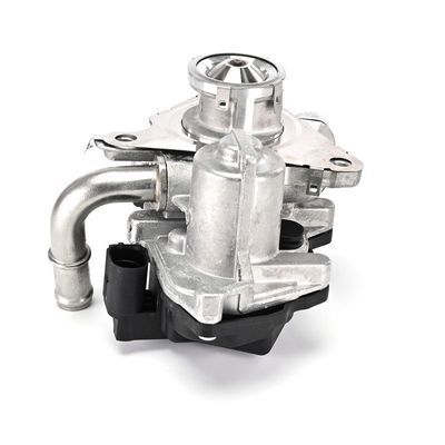 SUPAPA EGR DELPHI EG1055212B1 21