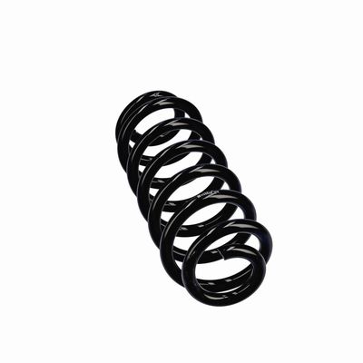 ARC SPIRAL EIBACH R22928 24