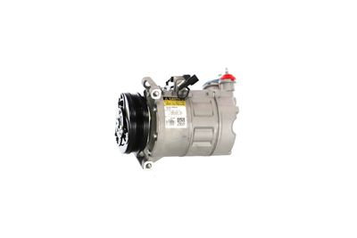 COMPRESOR CLIMATIZARE REMANTE 005001000045R 12