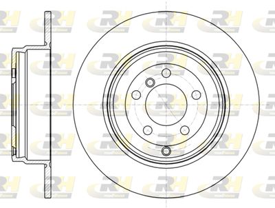 ROADHOUSE 61381.00 Тормозные диски  для LAND ROVER RANGE ROVER III (L322) 4.4 4x4