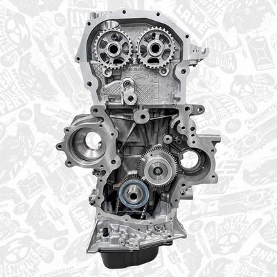 MOTOR COMPLET