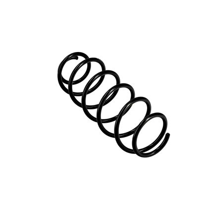 ARC SPIRAL EIBACH R10034 11