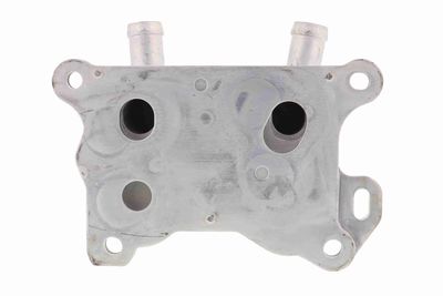 RADIATOR ULEI ULEI MOTOR ACKOJA A38600004 1