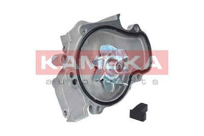 Water Pump, engine cooling T0144