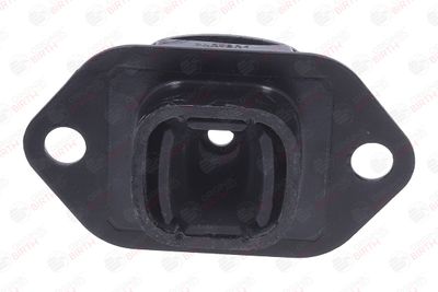 SUPORT MOTOR BIRTH 57195 1