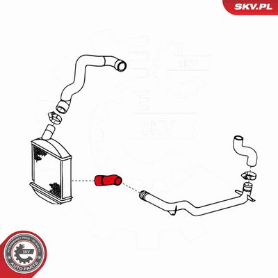 FURTUN EAR SUPRAALIMENTARE ESEN SKV 24SKV744 3
