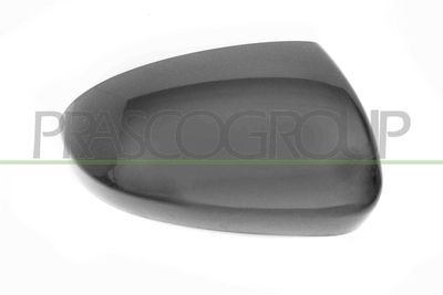 ACOPERIRE OGLINDA EXTERIOARA