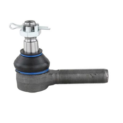 SPURSTANGENKOPF DELPHI TA1169 19