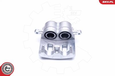 Brake Caliper 42SKV981