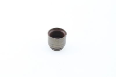 DICHTRING VENTILSCHAFT CORTECO 49472831 1