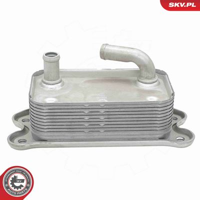 RADIATOR ULEI ULEI MOTOR ESEN SKV 31SKV300 3