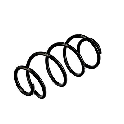 ARC SPIRAL EIBACH R10521 16