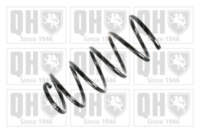 QUINTON HAZELL QCS7197 Пружина подвески  для VW POLO (Фольцваген Поло)