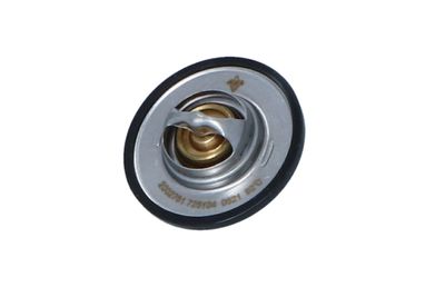 TERMOSTAT LICHID RACIRE NRF 725104 10