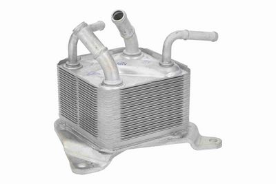 RADIATOR ULEI ULEI MOTOR