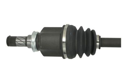 Planetara PASCAL G25006PC