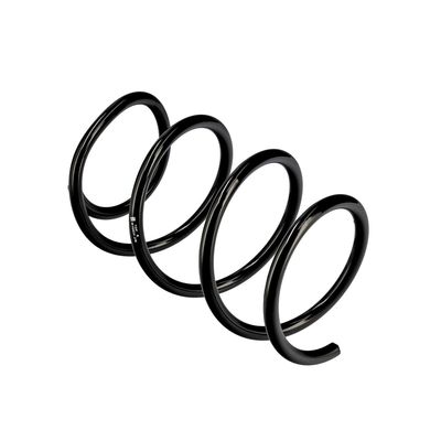 ARC SPIRAL EIBACH R10534 10